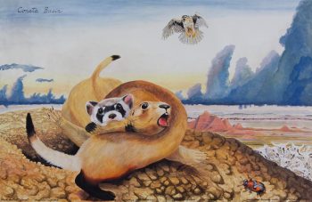 CONATA BASIN, 39 x 60 in.