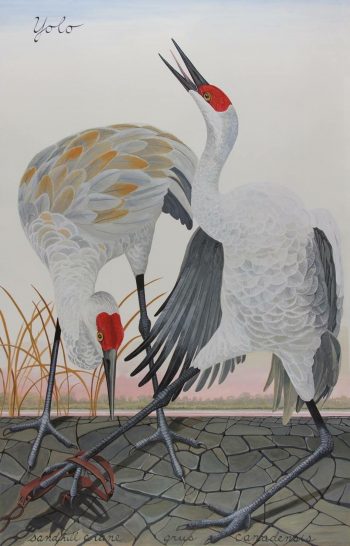 YOLO, gouache, water, ink on paper, 60 x 39 in. David Brower Center