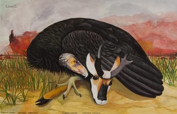 KONOCTI, 39 x 60 in.