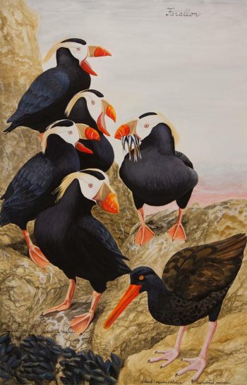 FARALLON, 60 x 39 in.