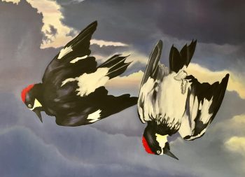 LEFT, RIGHT, Acorn Woodpeckers, 30 x 40 in.