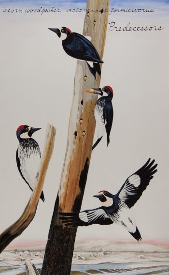 PREDECESSORS, 61 x 38 in.